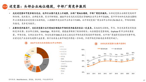 光伏產業全景圖 N型技術驅動變革，一體化擴產與競爭加劇